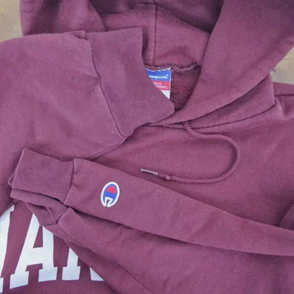 Y2K Harvard Champion Hooded Sweatshirt Small - Picture 4 of 7